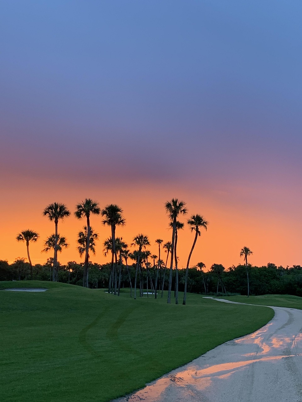 sunset, golf course, florida, golf, nature, landscape, golf course, golf course, golf course, golf course, golf course, golf, golf, golf, golf